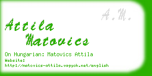 attila matovics business card